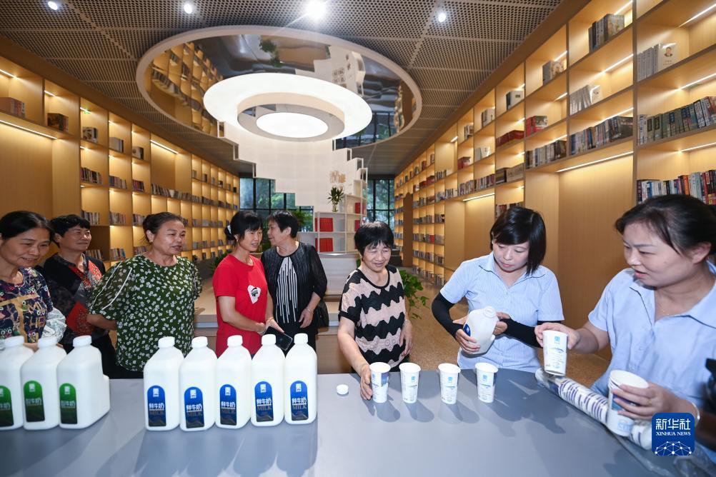 og游戏公司